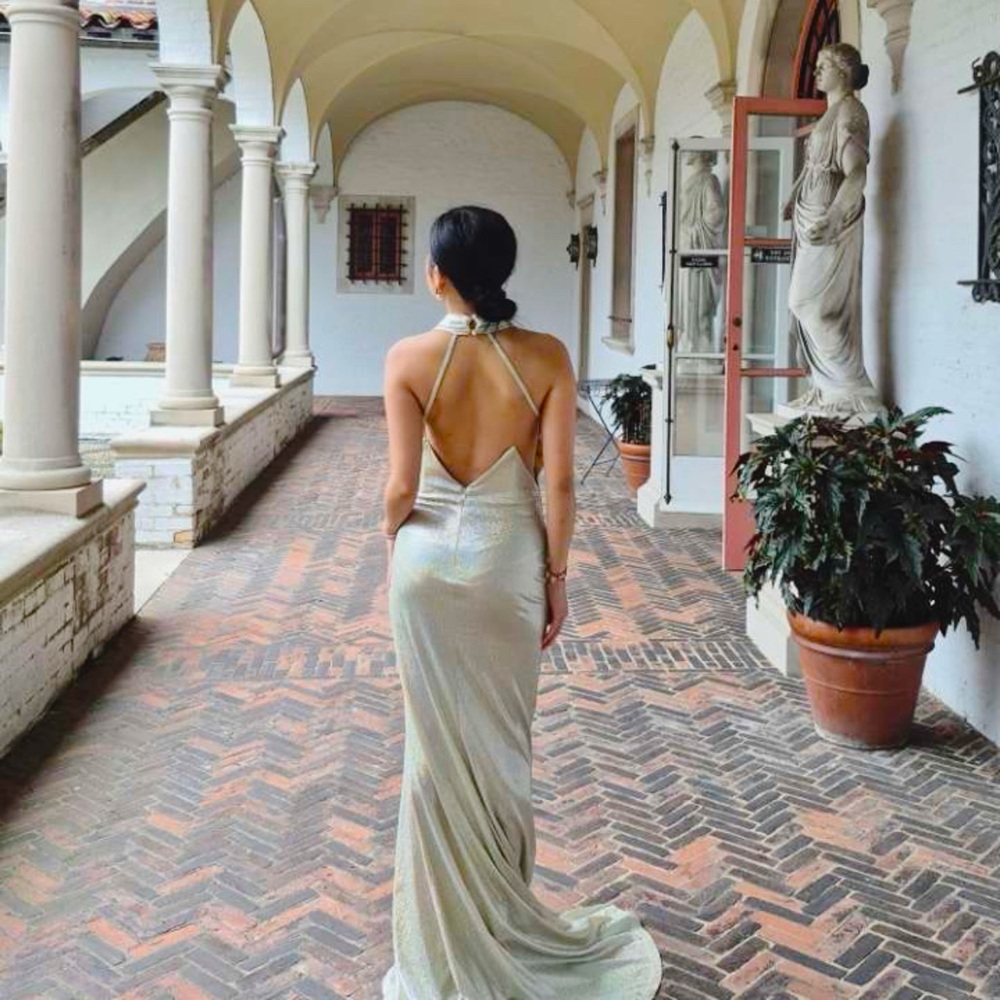 Elegant Silver Halter Gown